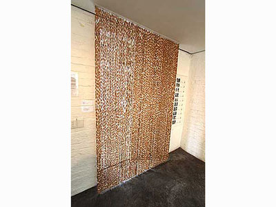 Cigarette butts on thread and perspex 150 x 240 cm